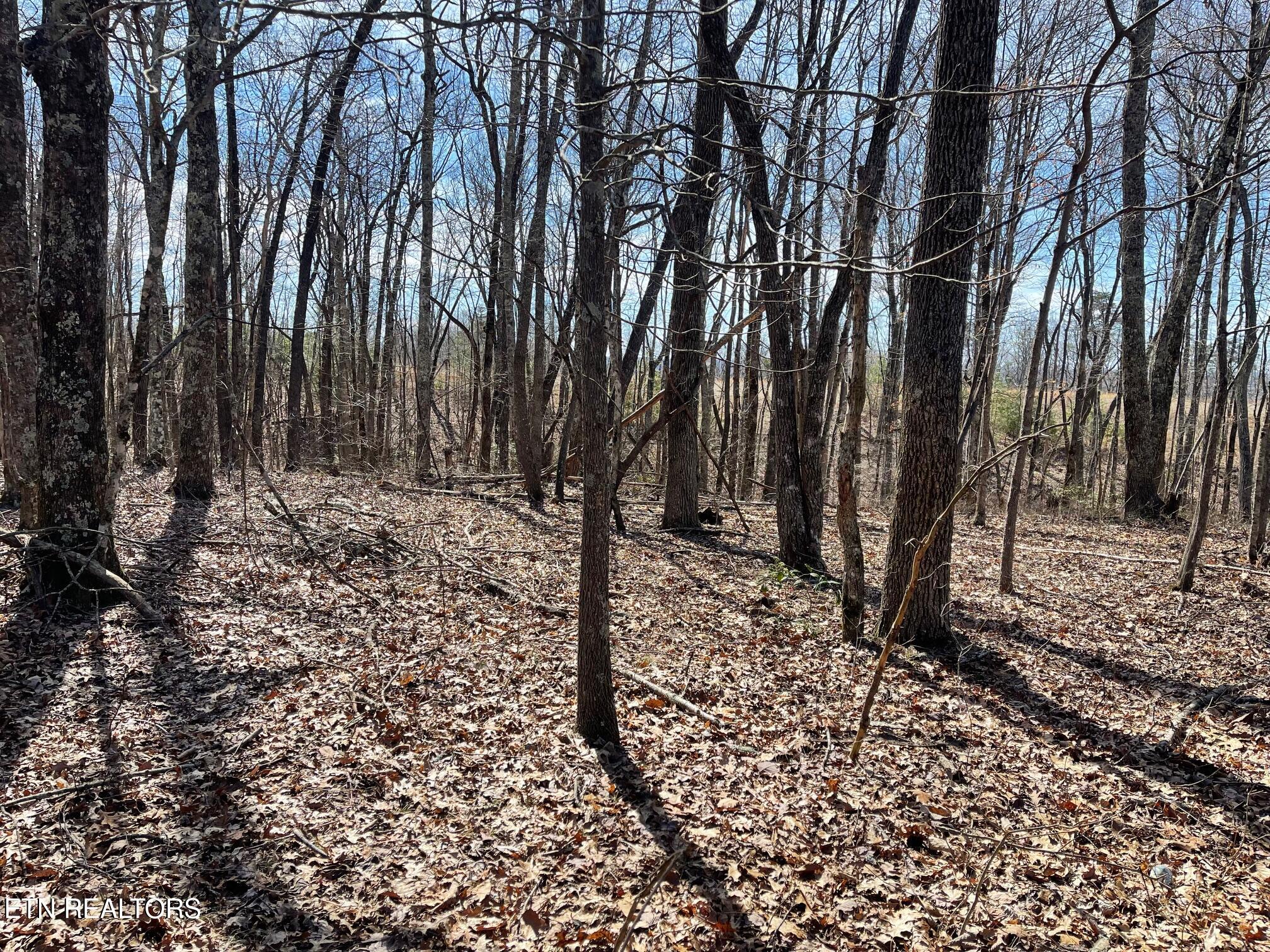 448 Otis Davis Rd