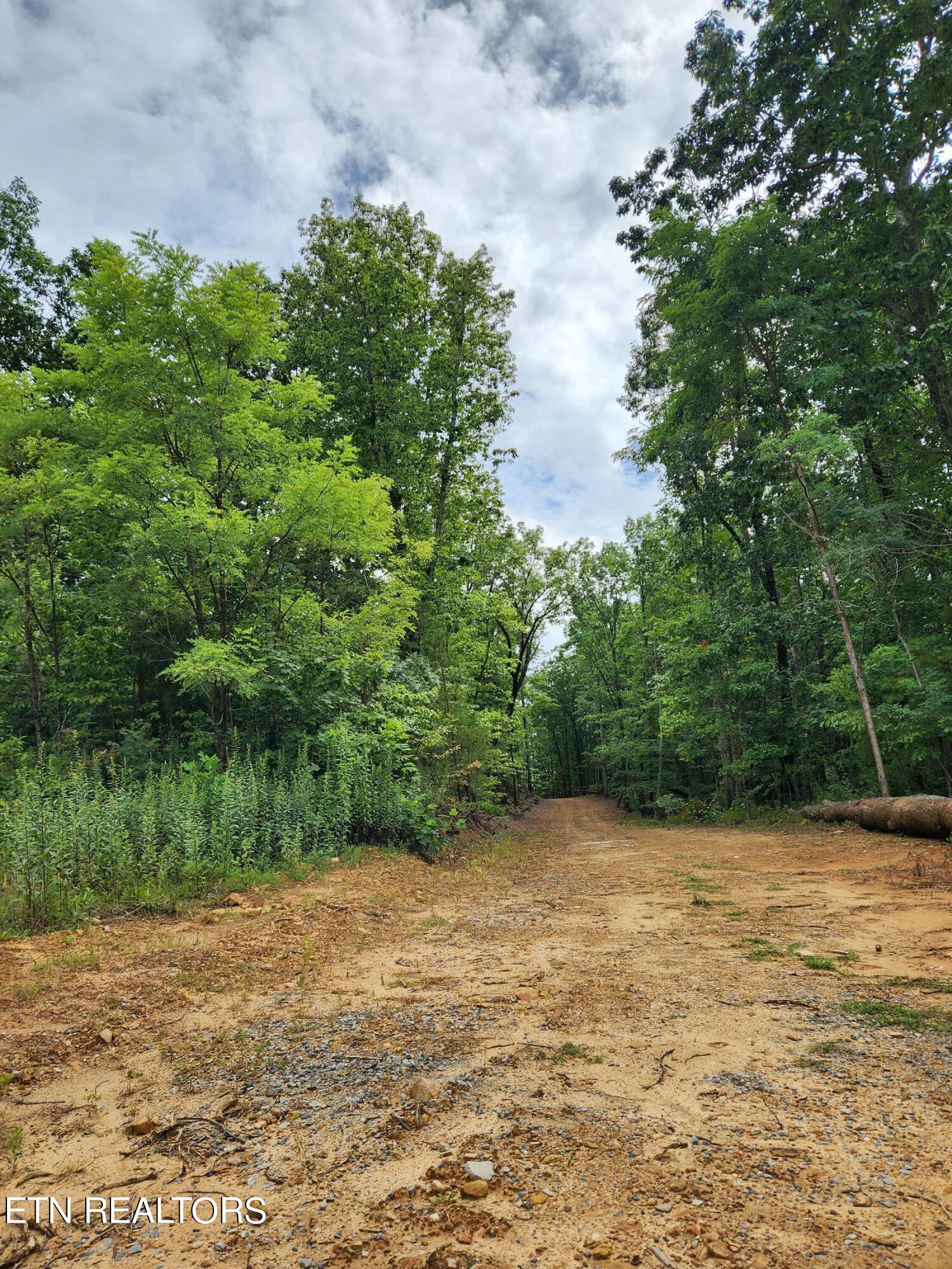 Lot 9 Coker Creek Trail