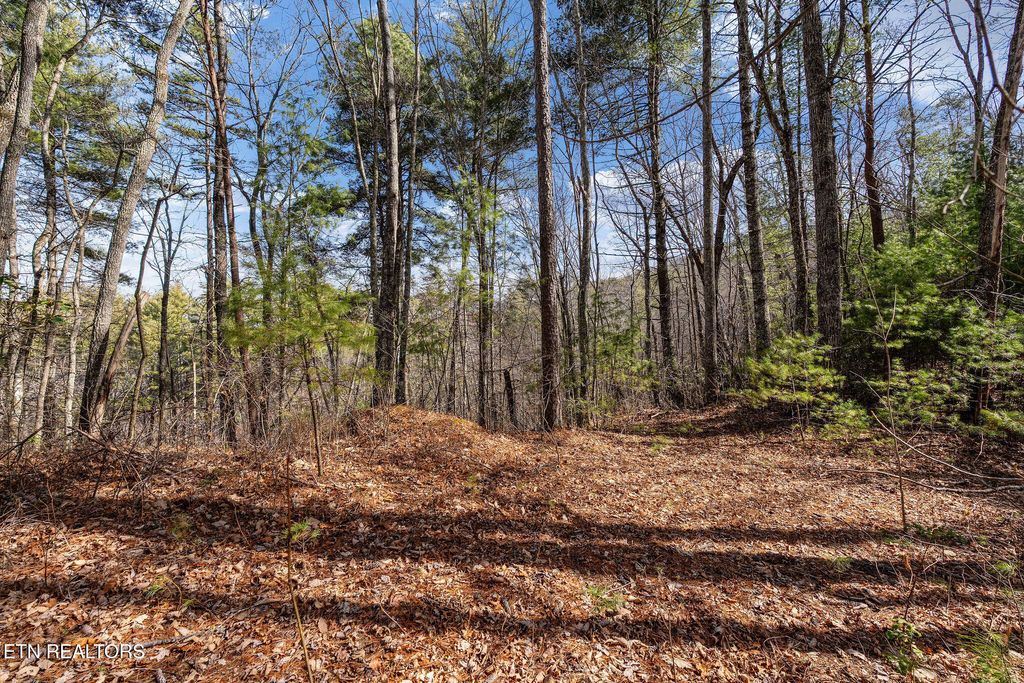 Photo of 12 Paint Horse Way, Sevierville, TN 37876 (MLS # 1330519)