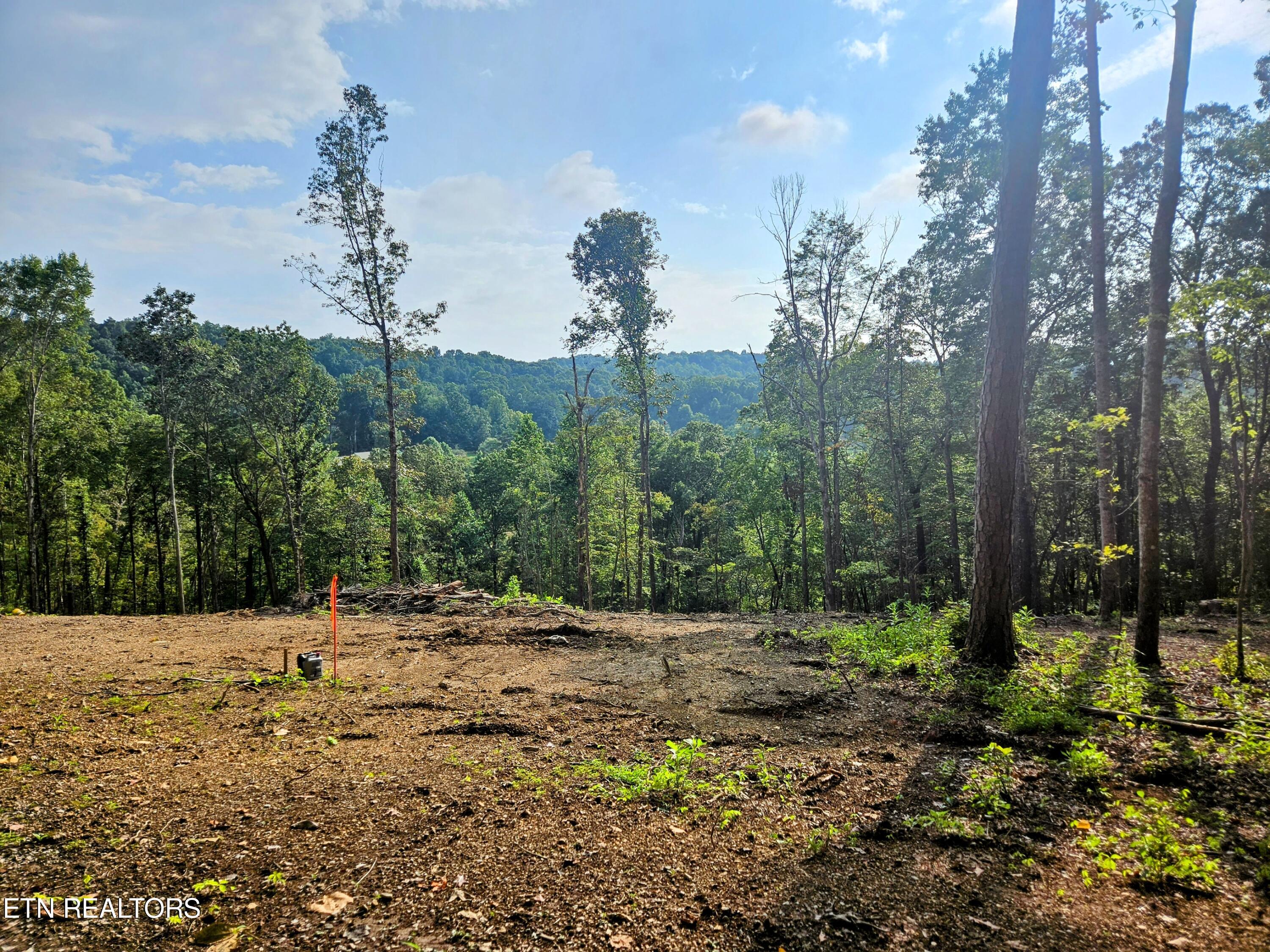 Photo 1 of 16 — Brewer Lane Lot 5, Andersonville, TN 37705
