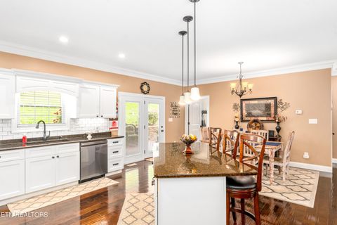 Tiny photo for 180 Owens Drive, Rocky Top, TN 37769 (MLS # 1333832)