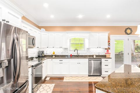 Tiny photo for 180 Owens Drive, Rocky Top, TN 37769 (MLS # 1333832)