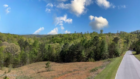 Photo of 106 Highland Reserve Way, Kingston, TN 37763 (MLS # 1360168)