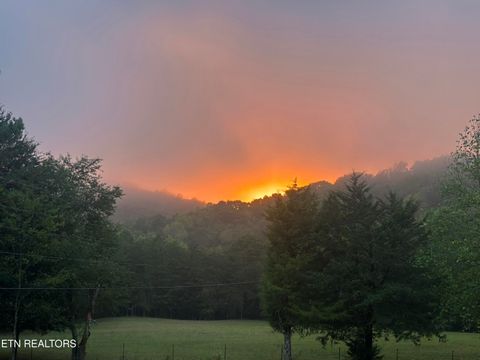 Tiny photo for 205 County Road 652, Athens, TN 37303 (MLS # 1331859)