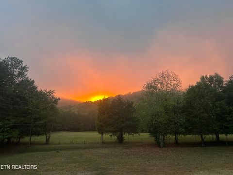 Tiny photo for 205 County Road 652, Athens, TN 37303 (MLS # 1331859)