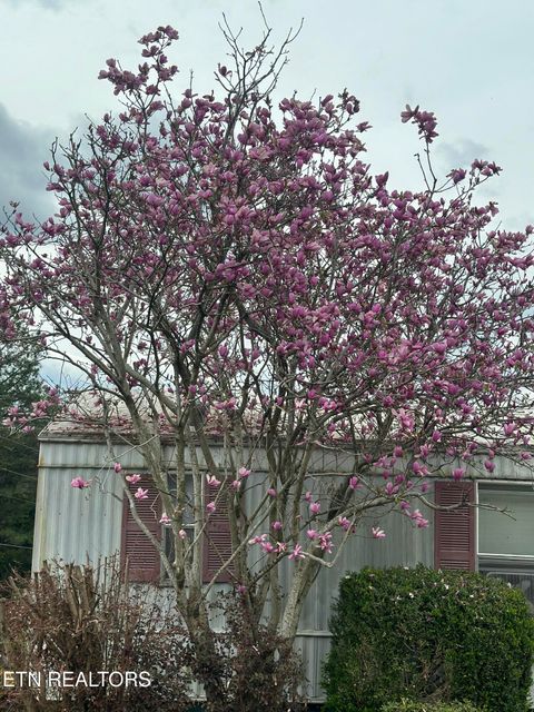 Tiny photo for 205 County Road 652, Athens, TN 37303 (MLS # 1331859)