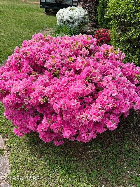 Tiny photo for 205 County Road 652, Athens, TN 37303 (MLS # 1331859)