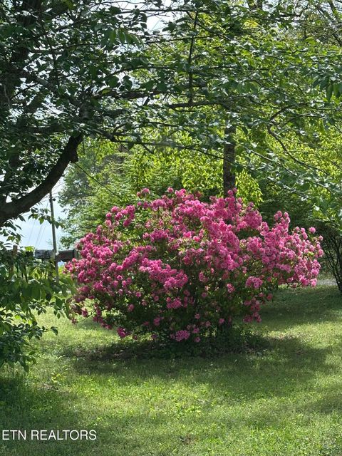 Tiny photo for 205 County Road 652, Athens, TN 37303 (MLS # 1331859)