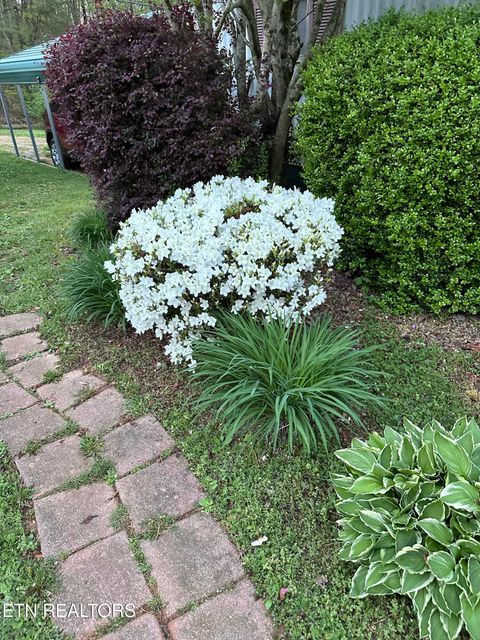 Tiny photo for 205 County Road 652, Athens, TN 37303 (MLS # 1331859)