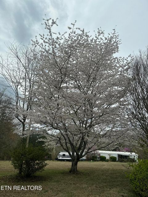 Tiny photo for 205 County Road 652, Athens, TN 37303 (MLS # 1331859)