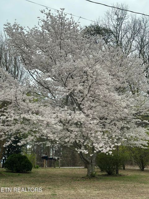 Tiny photo for 205 County Road 652, Athens, TN 37303 (MLS # 1331859)