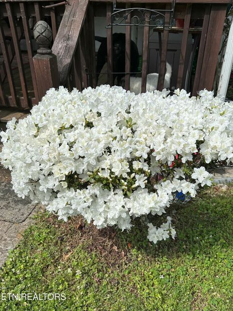 Tiny photo for 205 County Road 652, Athens, TN 37303 (MLS # 1331859)