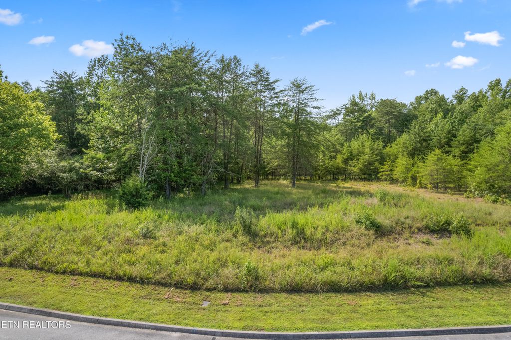 Photo of Lot 78 Creekside Drive, Harriman, TN 37748 (MLS # 1332947)