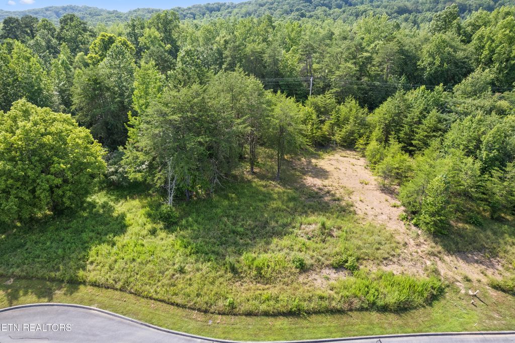 Photo of Lot 78 Creekside Drive, Harriman, TN 37748 (MLS # 1332947)