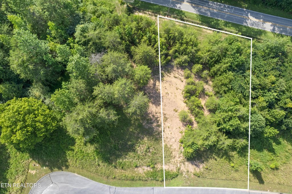 Photo of Lot 78 Creekside Drive, Harriman, TN 37748 (MLS # 1332947)