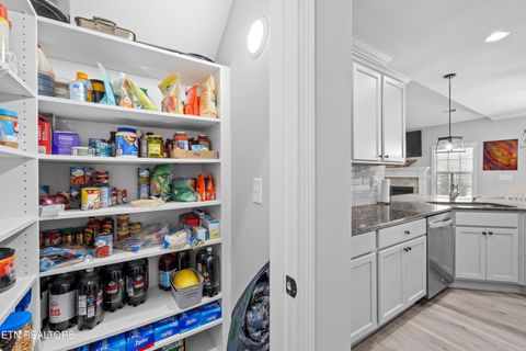 Tiny photo for 10137 Songbird Lane, Knoxville, TN 37931 (MLS # 1328294)