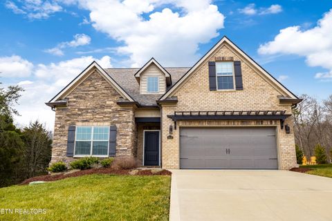Photo of 10137 Songbird Lane, Knoxville, TN 37931 (MLS # 1328294)