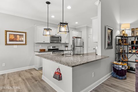 Tiny photo for 10137 Songbird Lane, Knoxville, TN 37931 (MLS # 1328294)