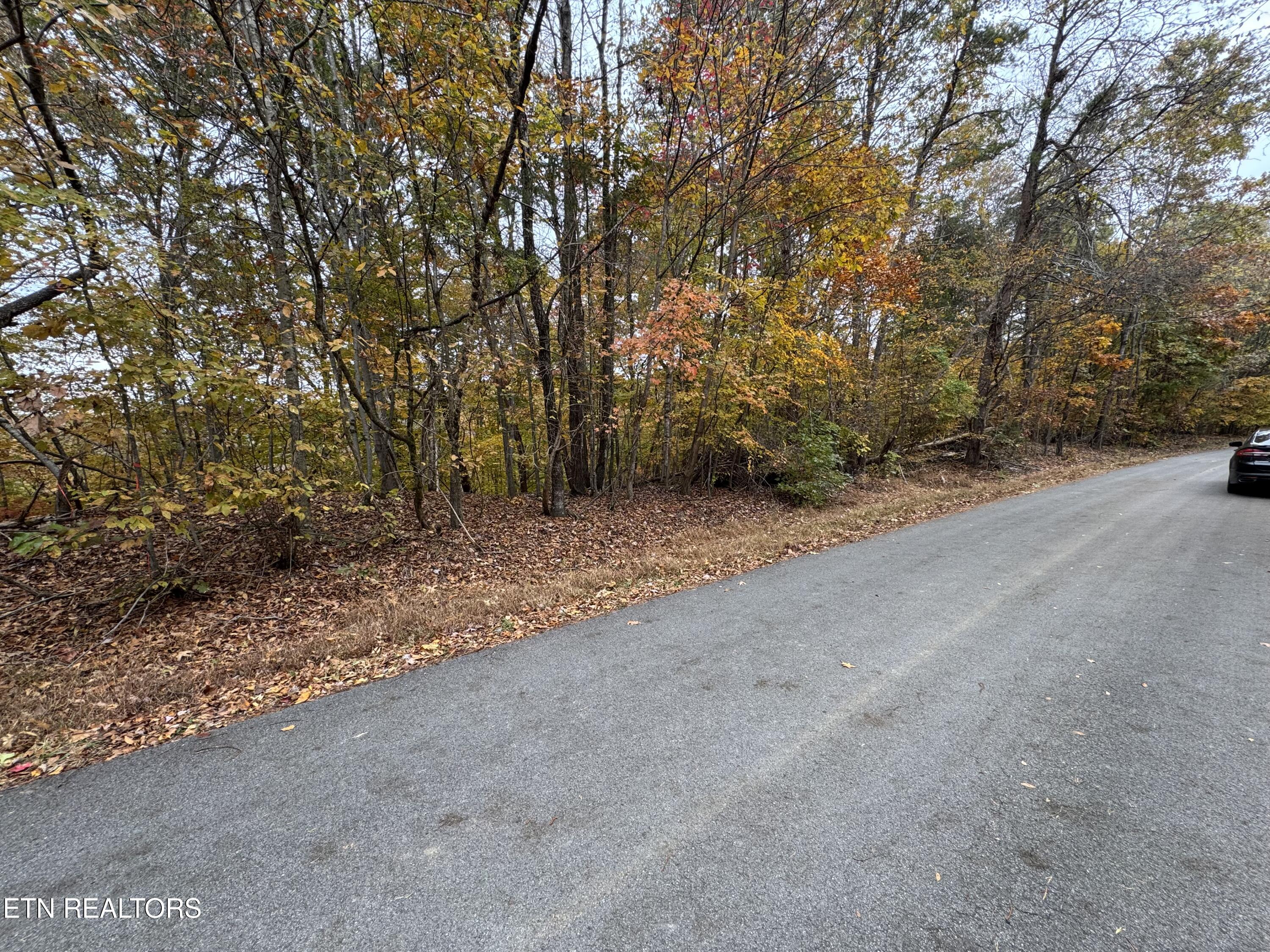 Mountain View LN Lane