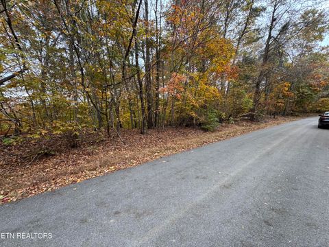 Tiny photo for Mountain View LN Lane, Baneberry, TN 37890 (MLS # 1320746)