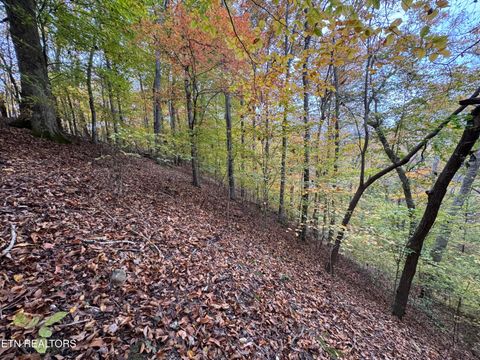 Tiny photo for Mountain View LN Lane, Baneberry, TN 37890 (MLS # 1320746)