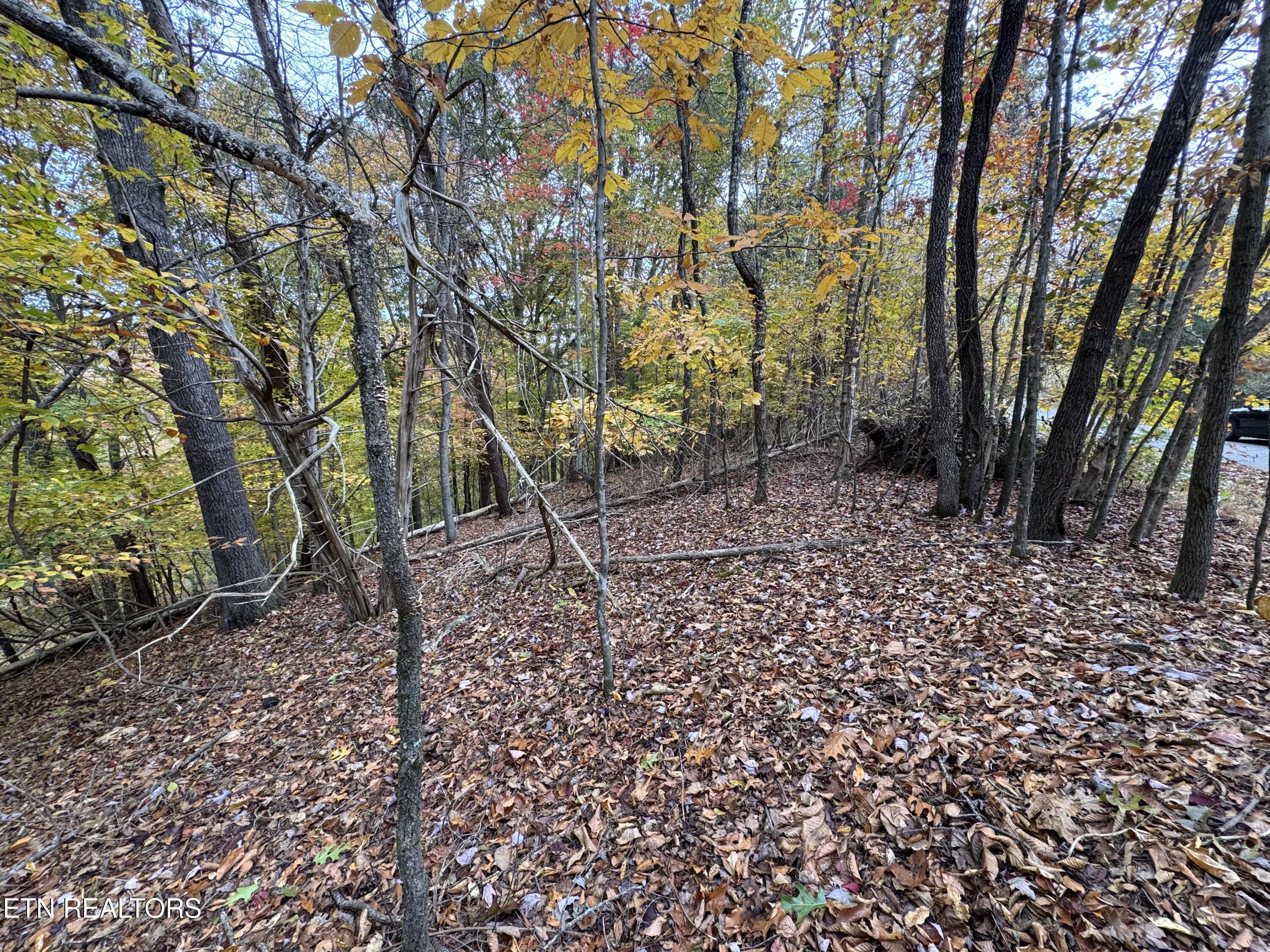 Mountain View LN Lane