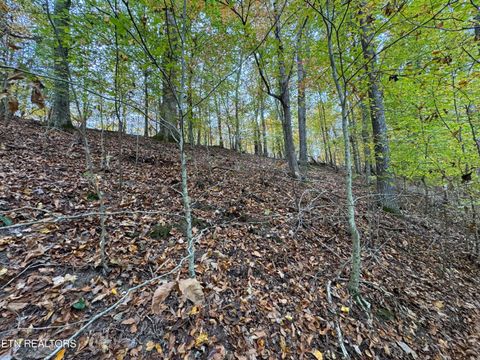 Tiny photo for Mountain View LN Lane, Baneberry, TN 37890 (MLS # 1320746)