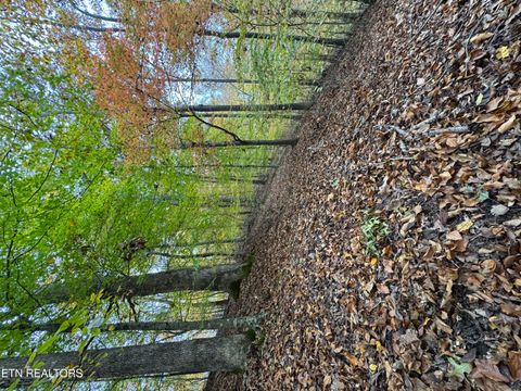Tiny photo for Mountain View LN Lane, Baneberry, TN 37890 (MLS # 1320746)