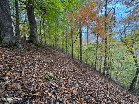 Tiny photo for Mountain View LN Lane, Baneberry, TN 37890 (MLS # 1320746)