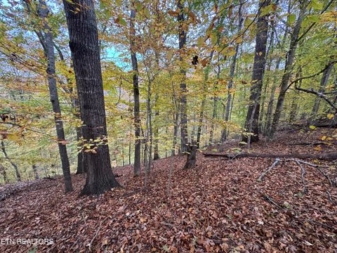 Tiny photo for Mountain View LN Lane, Baneberry, TN 37890 (MLS # 1320746)