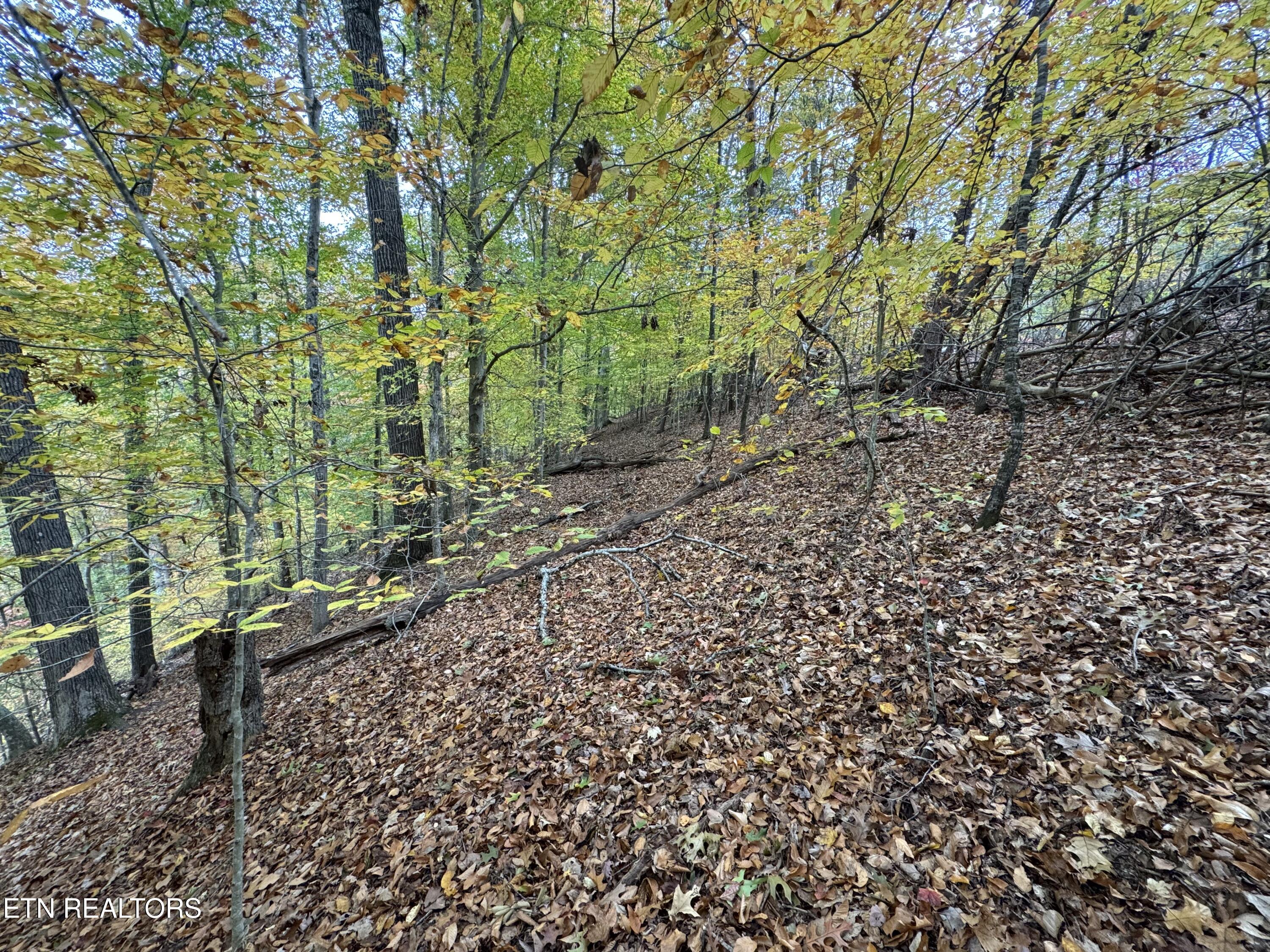 Mountain View LN Lane