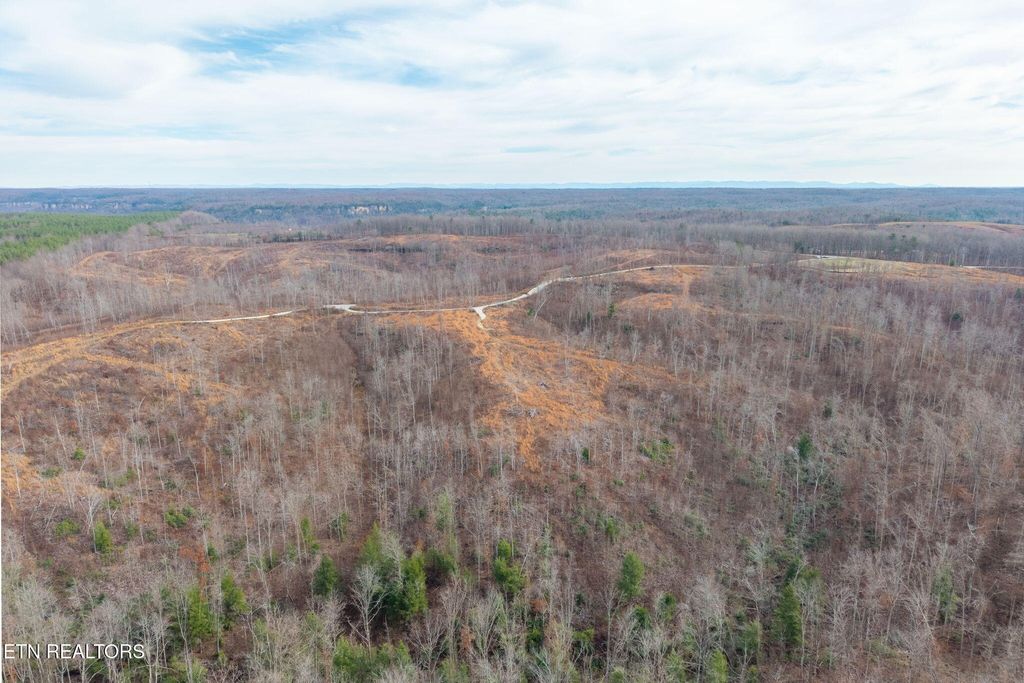 Photo of 149 Aspen Heights Rd, Jamestown, TN 38556 (MLS # 1332387)