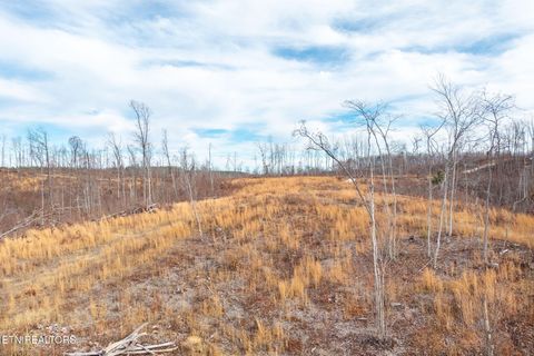 Photo of 149 Aspen Heights Rd, Jamestown, TN 38556 (MLS # 1332387)