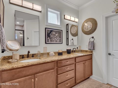 Tiny photo for 1022 Providence Grove Way, Knoxville, TN 37919 (MLS # 1335988)