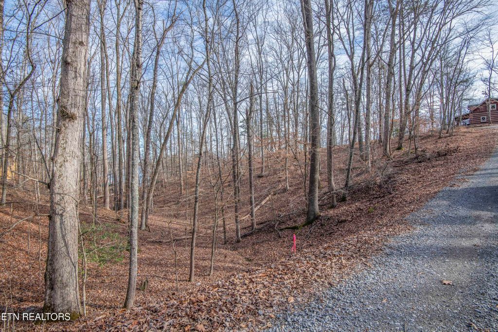 Photo of 00 Sunset Court, Spring City, TN 37381 (MLS # 1325044)