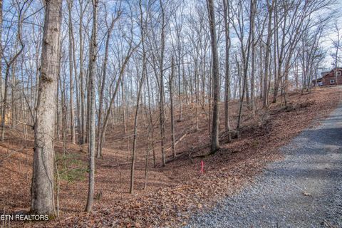 Tiny photo for 00 Sunset Court, Spring City, TN 37381 (MLS # 1325044)