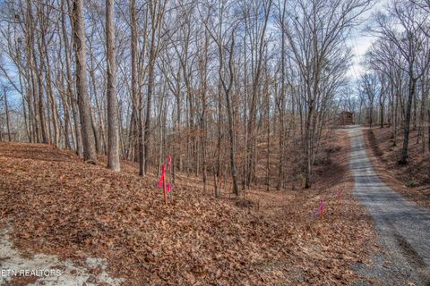 Tiny photo for 00 Sunset Court, Spring City, TN 37381 (MLS # 1325044)