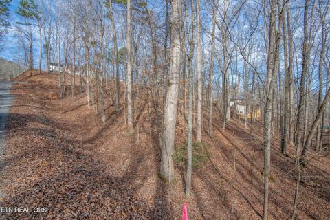 Tiny photo for 00 Sunset Court, Spring City, TN 37381 (MLS # 1325044)