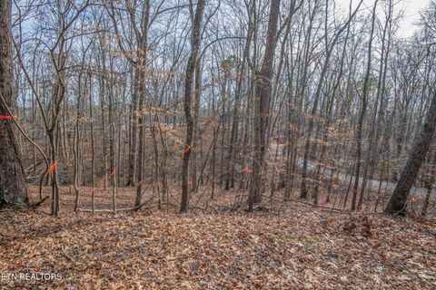Tiny photo for 00 Sunset Court, Spring City, TN 37381 (MLS # 1325044)