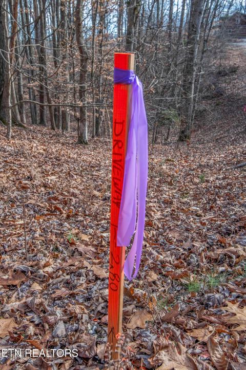 Tiny photo for 00 Sunset Court, Spring City, TN 37381 (MLS # 1325044)