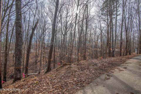 Tiny photo for 00 Sunset Court, Spring City, TN 37381 (MLS # 1325044)
