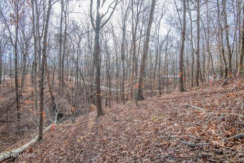 Tiny photo for 00 Sunset Court, Spring City, TN 37381 (MLS # 1325044)