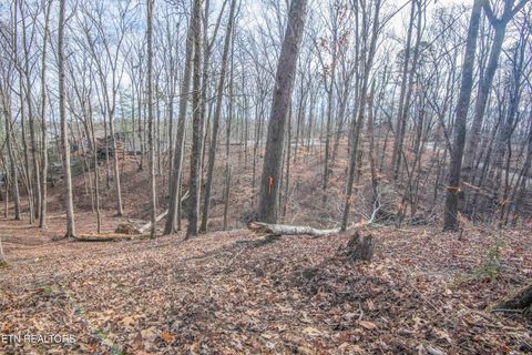 Tiny photo for 00 Sunset Court, Spring City, TN 37381 (MLS # 1325044)