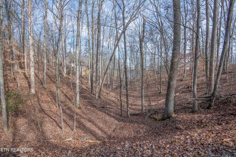 Tiny photo for 00 Sunset Court, Spring City, TN 37381 (MLS # 1325044)