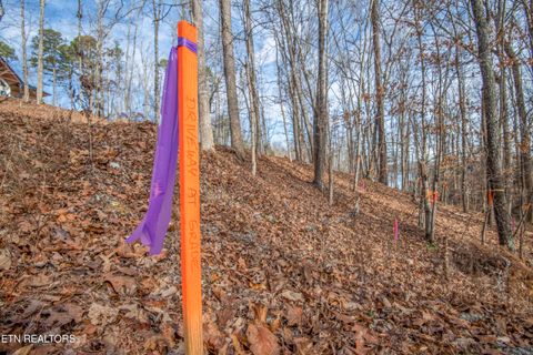 Tiny photo for 00 Sunset Court, Spring City, TN 37381 (MLS # 1325044)