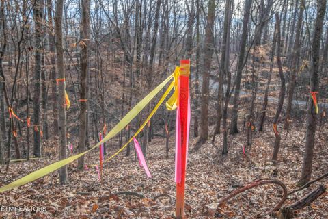 Tiny photo for 00 Sunset Court, Spring City, TN 37381 (MLS # 1325044)