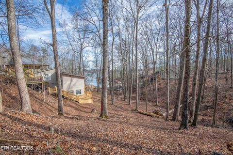 Tiny photo for 00 Sunset Court, Spring City, TN 37381 (MLS # 1325044)