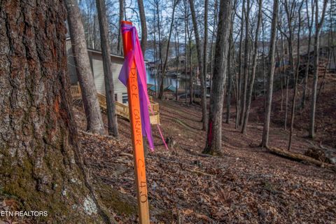 Tiny photo for 00 Sunset Court, Spring City, TN 37381 (MLS # 1325044)