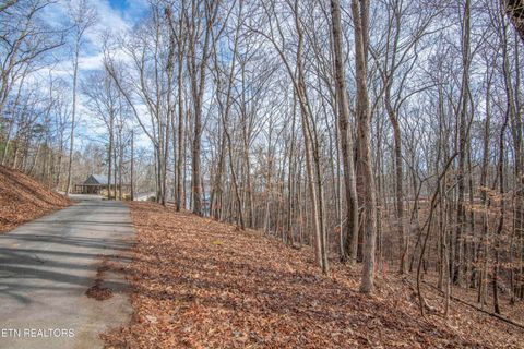 Photo of 00 Sunset Court, Spring City, TN 37381 (MLS # 1325044)