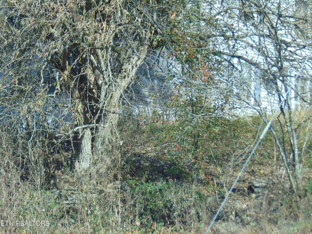 Photo of 432 Ferguson Ridge Rd. Rd, Tazewell, TN 37879 (MLS # 1245961)